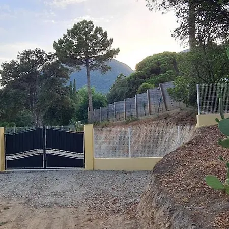 Agreable Rez De Jardin Avec Piscine Et Jacuzzi Διαμέρισμα Cervione