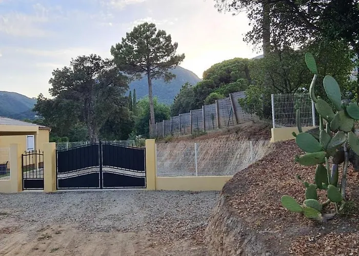 Agreable Rez De Jardin Avec Piscine Et Jacuzzi Daire Cervione